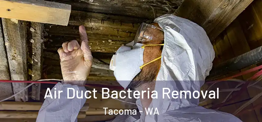  Air Duct Bacteria Removal Tacoma - WA