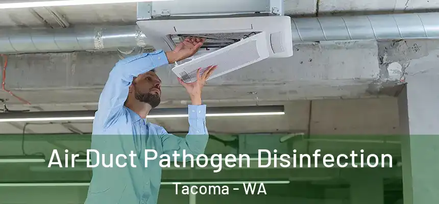  Air Duct Pathogen Disinfection Tacoma - WA