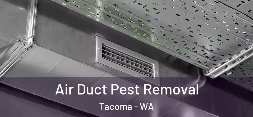 Air Duct Pest Removal Tacoma - WA