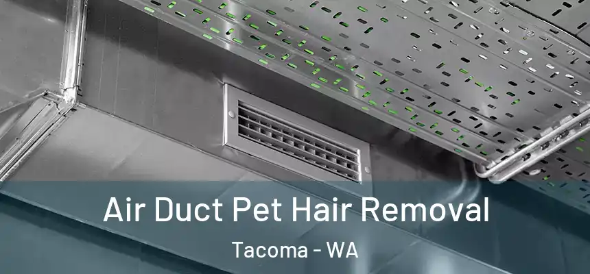  Air Duct Pet Hair Removal Tacoma - WA