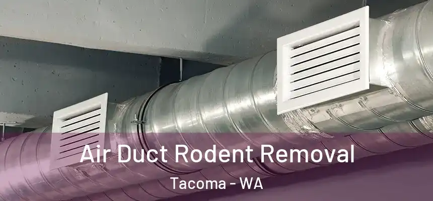  Air Duct Rodent Removal Tacoma - WA