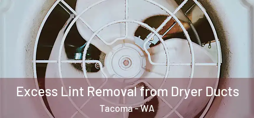  Excess Lint Removal from Dryer Ducts Tacoma - WA