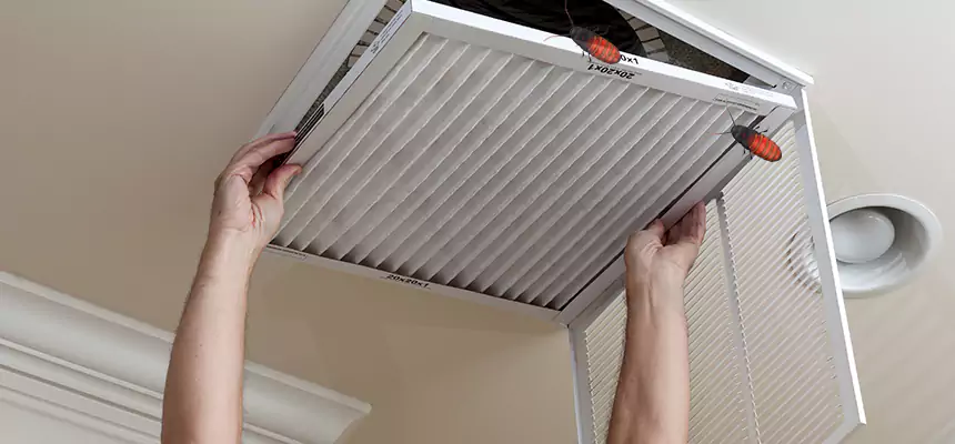 Our Insect Removal from Air Ducts Services in Tacoma, WA