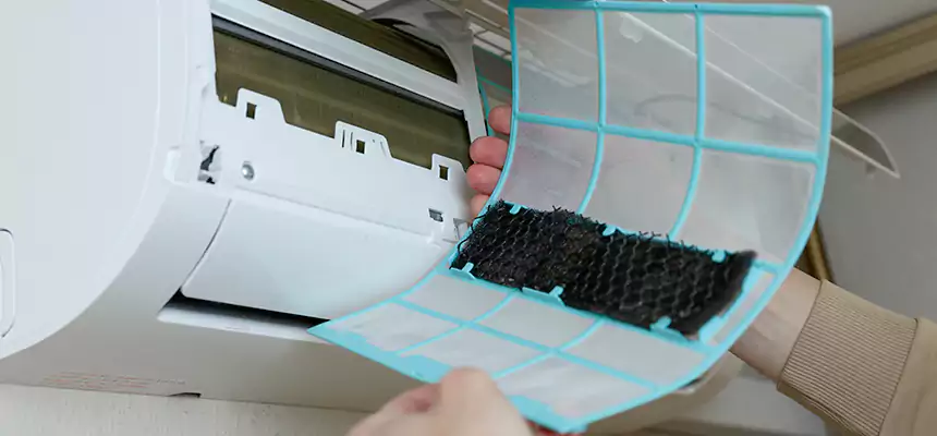 Gentle Ductwork Odor-Control Pet Dander Duct Cleaning in Tacoma, WA