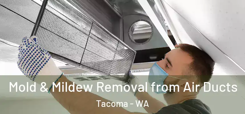  Mold & Mildew Removal from Air Ducts Tacoma - WA