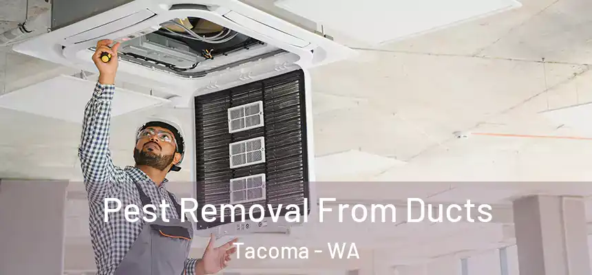  Pest Removal From Ducts Tacoma - WA