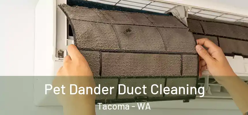  Pet Dander Duct Cleaning Tacoma - WA