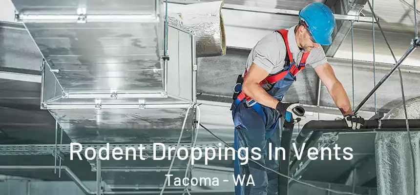  Rodent Droppings In Vents Tacoma - WA
