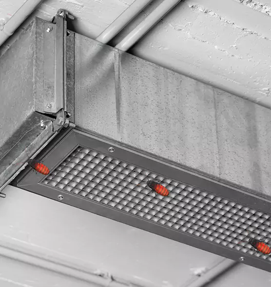 About Air Duct Cockroach Removal in Tacoma, WA