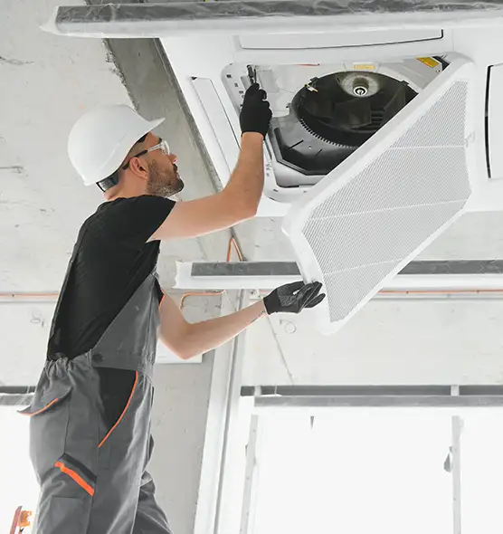 About Air Duct Rodent Removal in Tacoma, WA