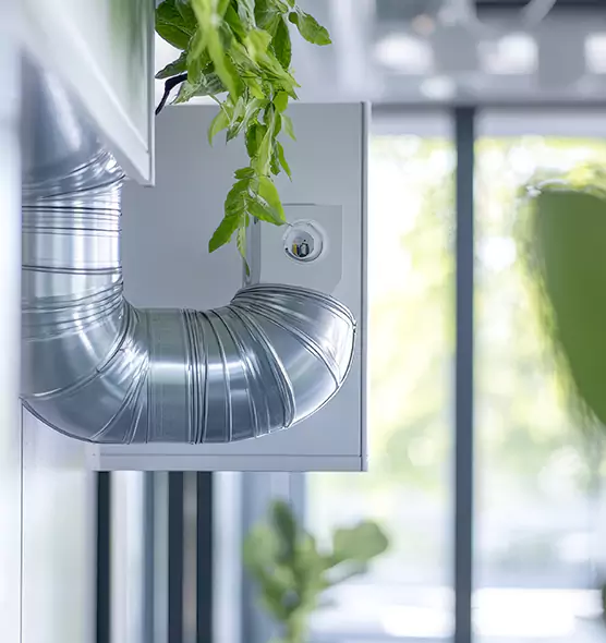 Professional Eco-Safe Dryer Vent Cleaning in Tacoma, WA