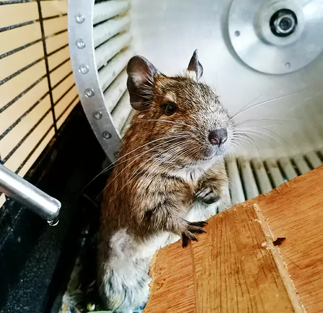 Why Homeowners & Businesses Trust Us Tacoma, WA?