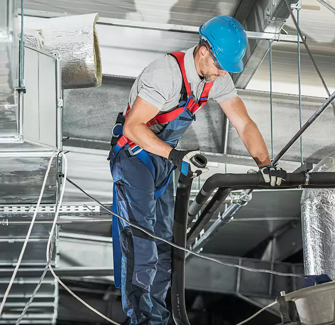 Why Homeowners & Businesses Trust Us in Tacoma, WA?