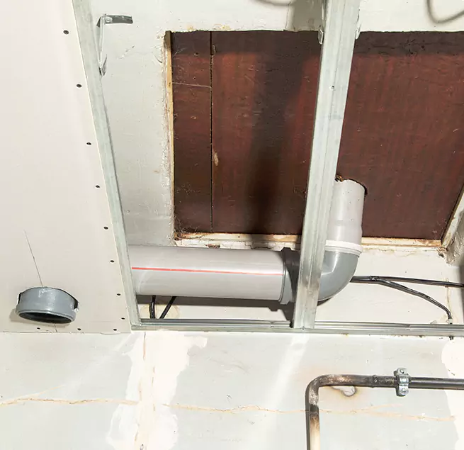 Why Homeowners & Businesses Trust Us in Tacoma, WA?