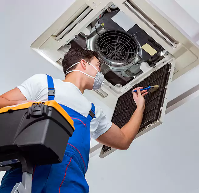 Why Homeowners & Businesses Trust Us in Tacoma, WA