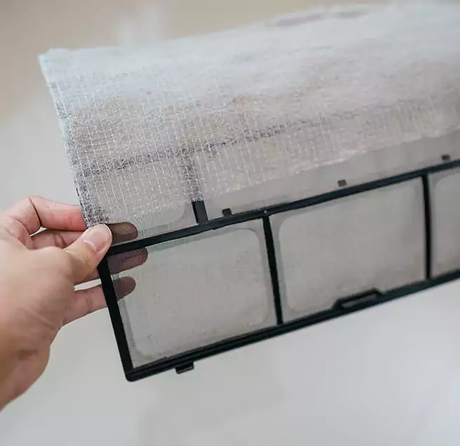 Why Homeowners & Businesses Trust Us in Tacoma, WA?