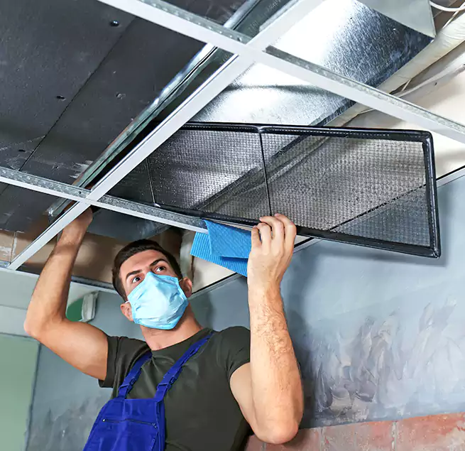 Why Homeowners Businesses Trust Us in Tacoma, WA